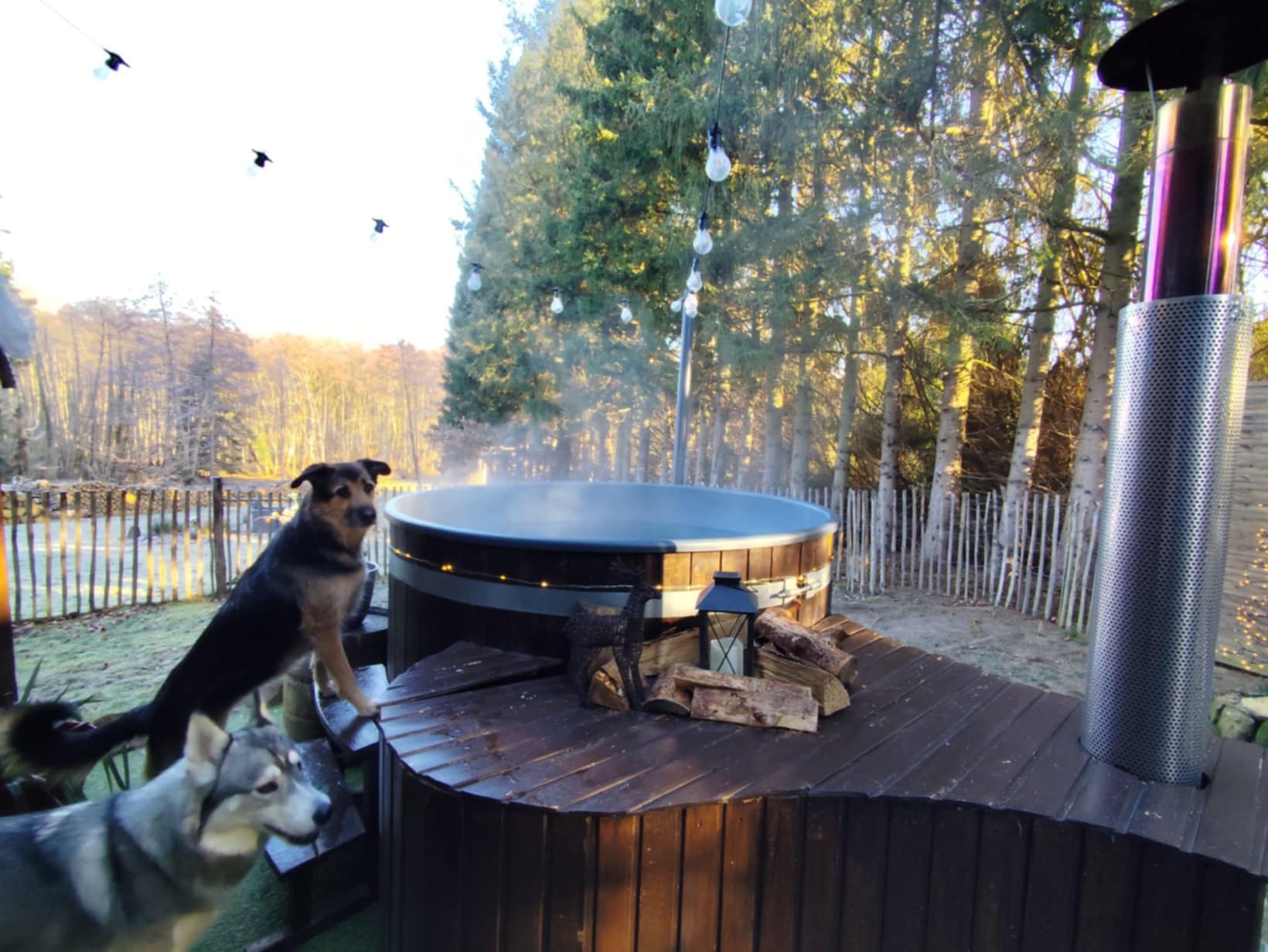 Gite en Alsace avec bain finlandais jacuzzi accueillant les chiens