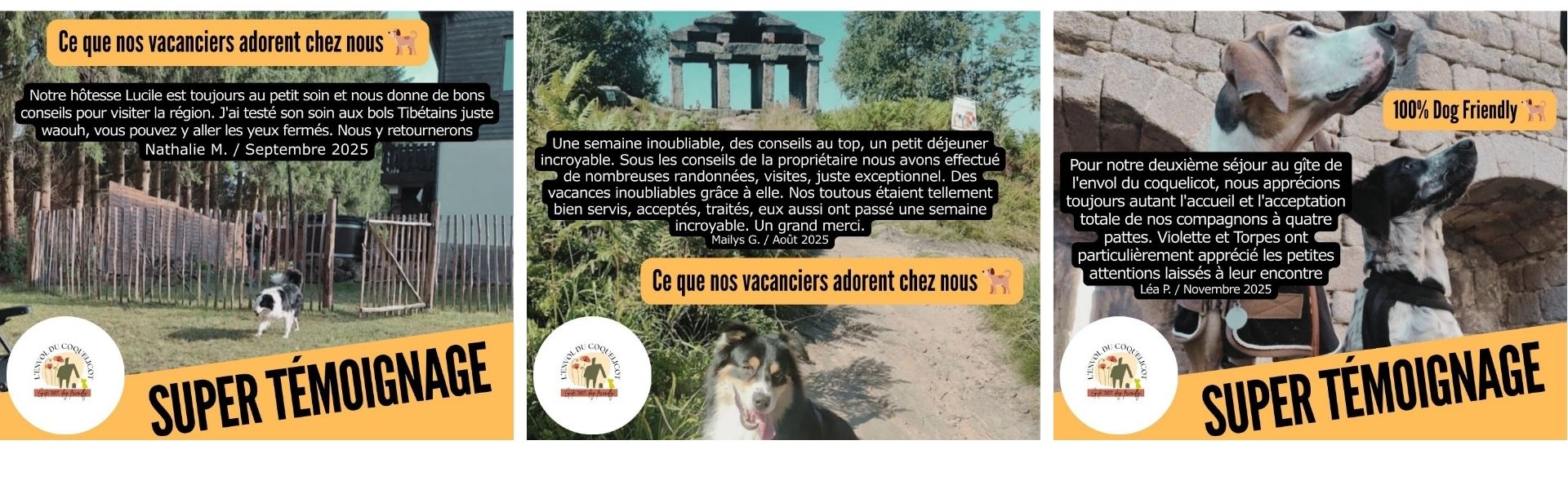 gite dog friendly avec jacuzzi