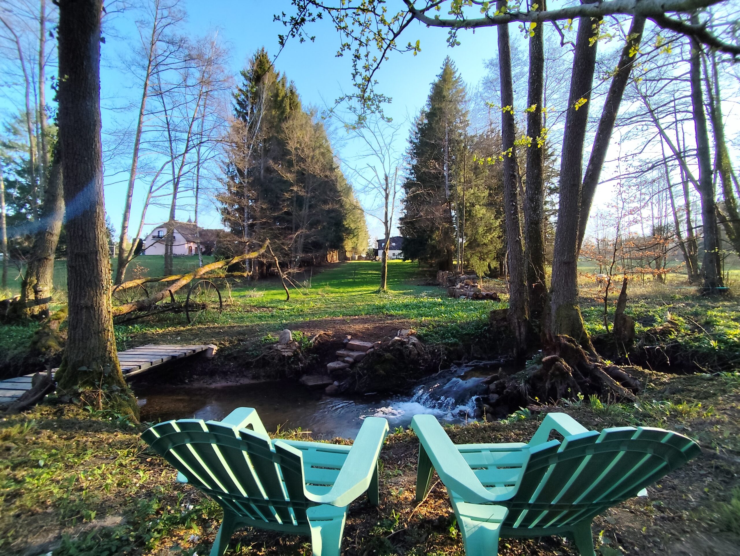 gîte dog friendly en Alsace avec jardin et rivière pour chien