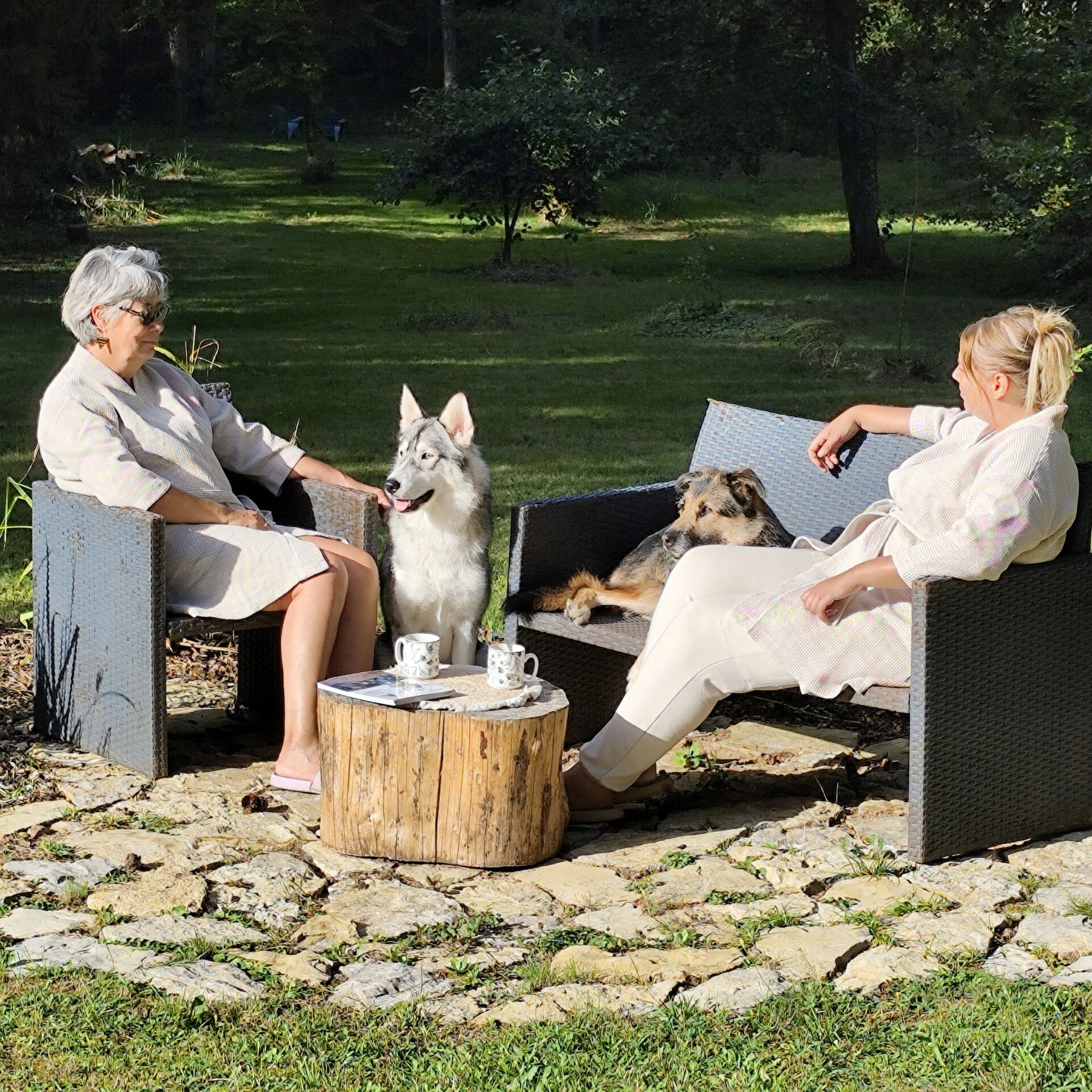 gite dans le bas rhin avec chien accepté