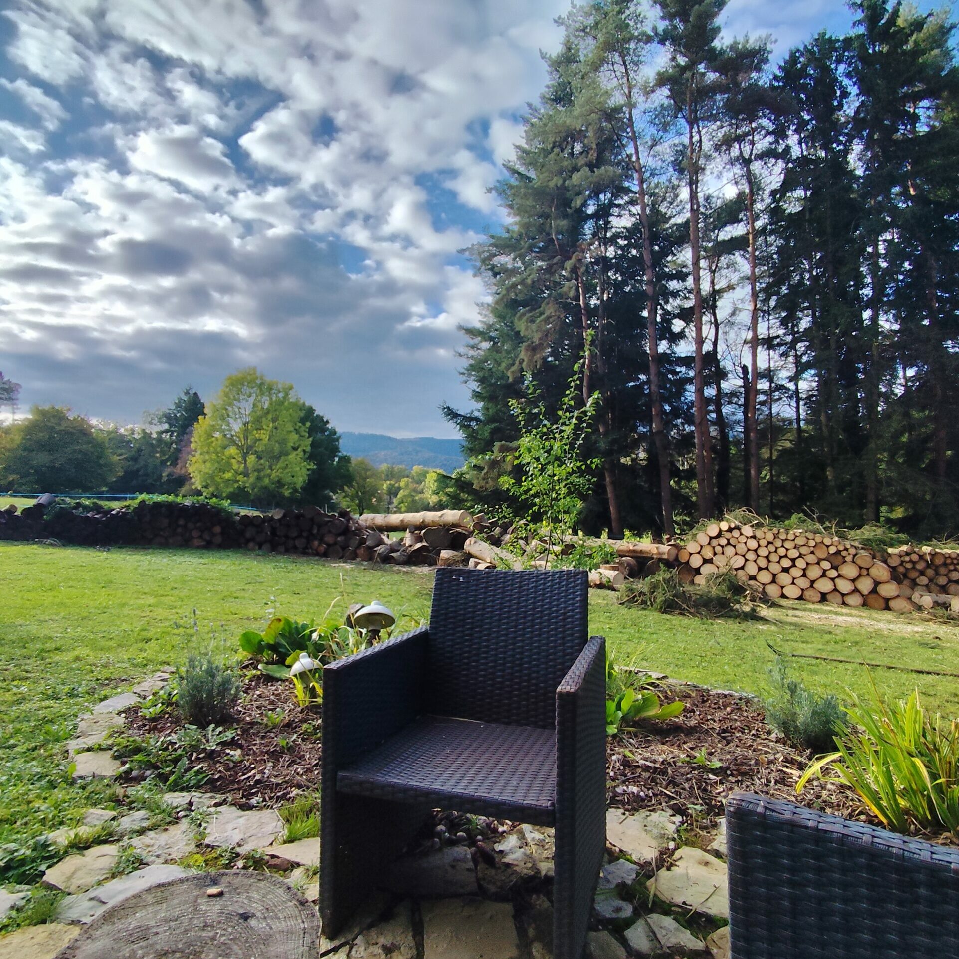 gite dog friendly avec jardin en Alsace